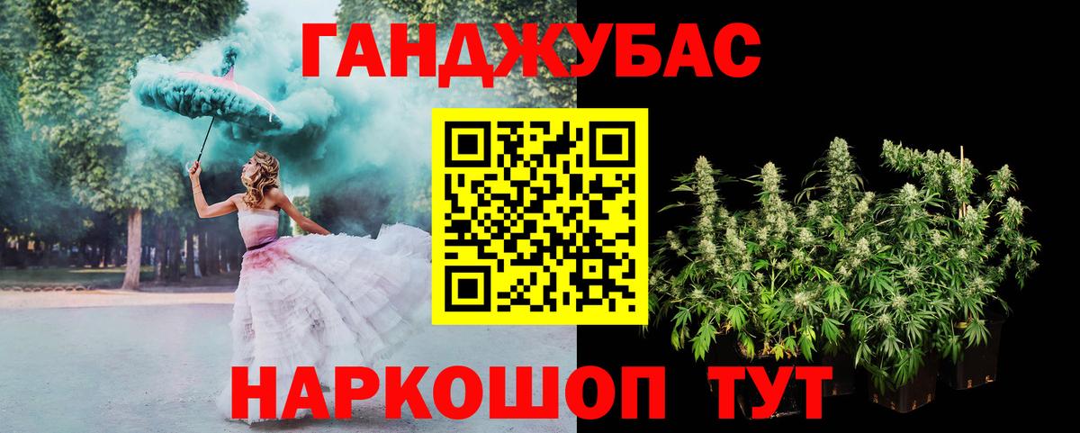 Каннабис сатива Кимры
